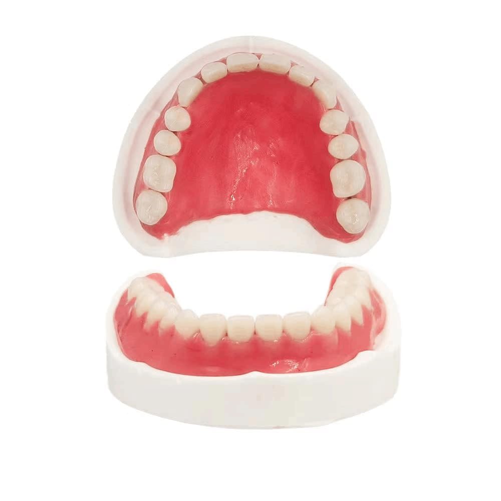 Fake Teeth Denture Top and Bottom Temporary Teeth I3509