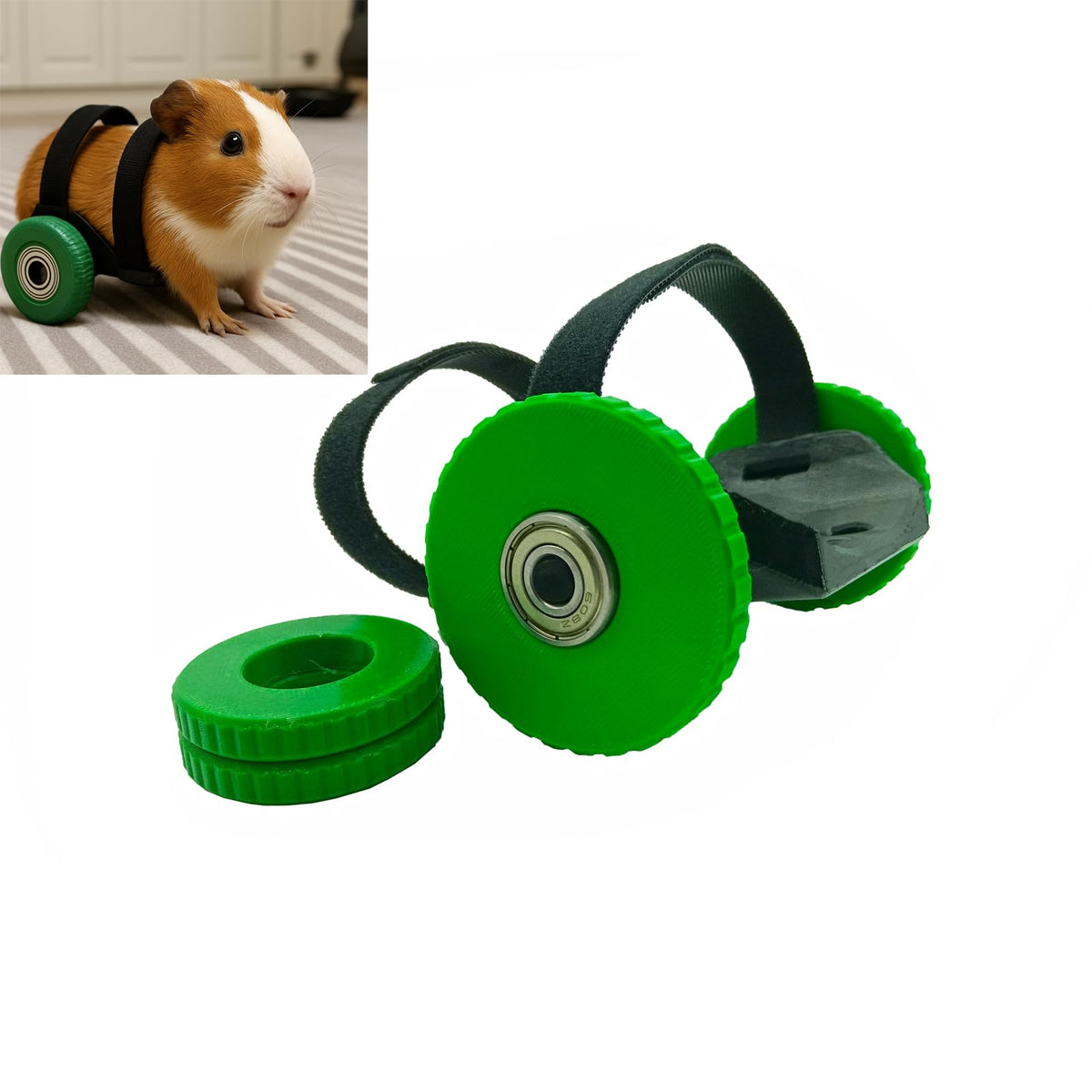 Guinea Pig Wheelchair with Adjustable Harness, 2 Wheel Sizes U591674