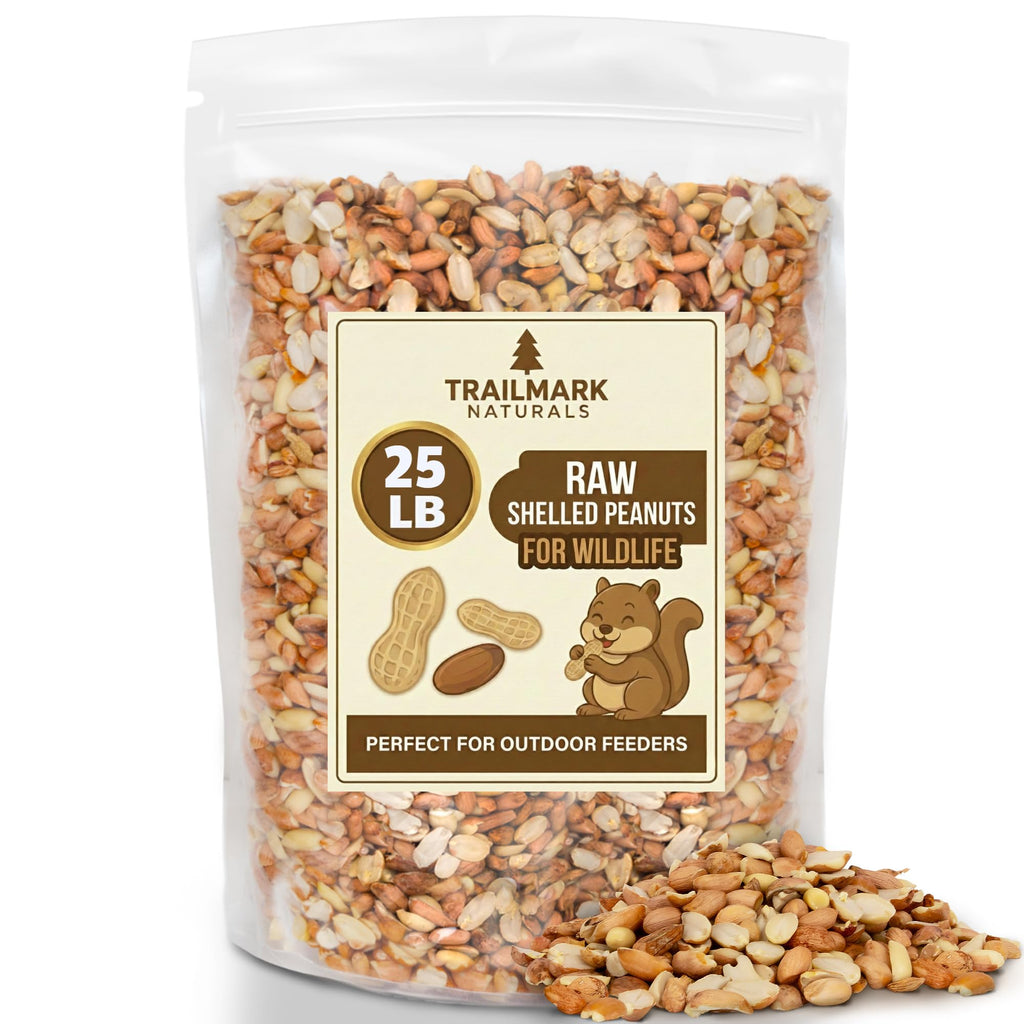 Raw Shelled Peanuts 25 LB P14218