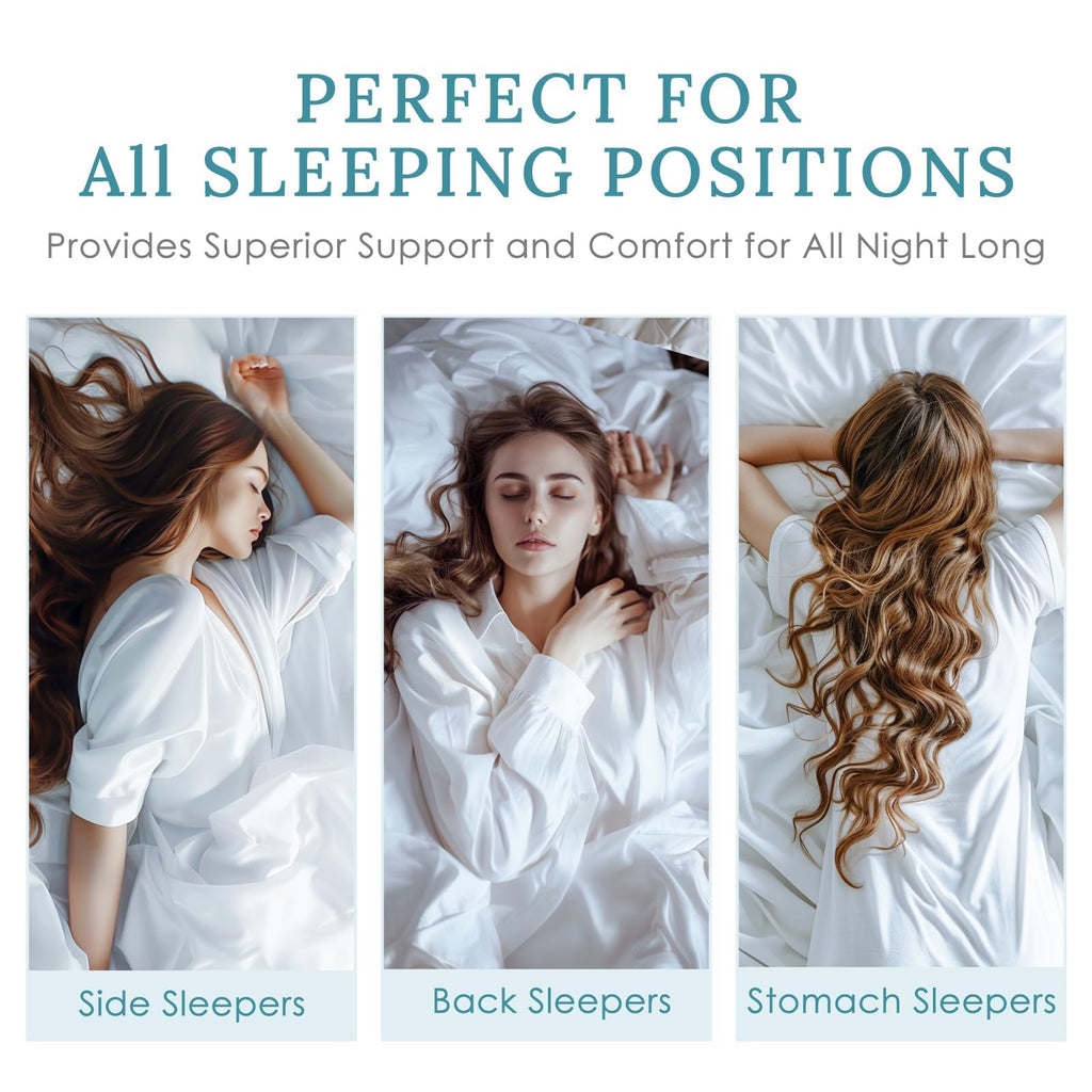 King Size Set of 2 Down Alternative Pillows B11630
