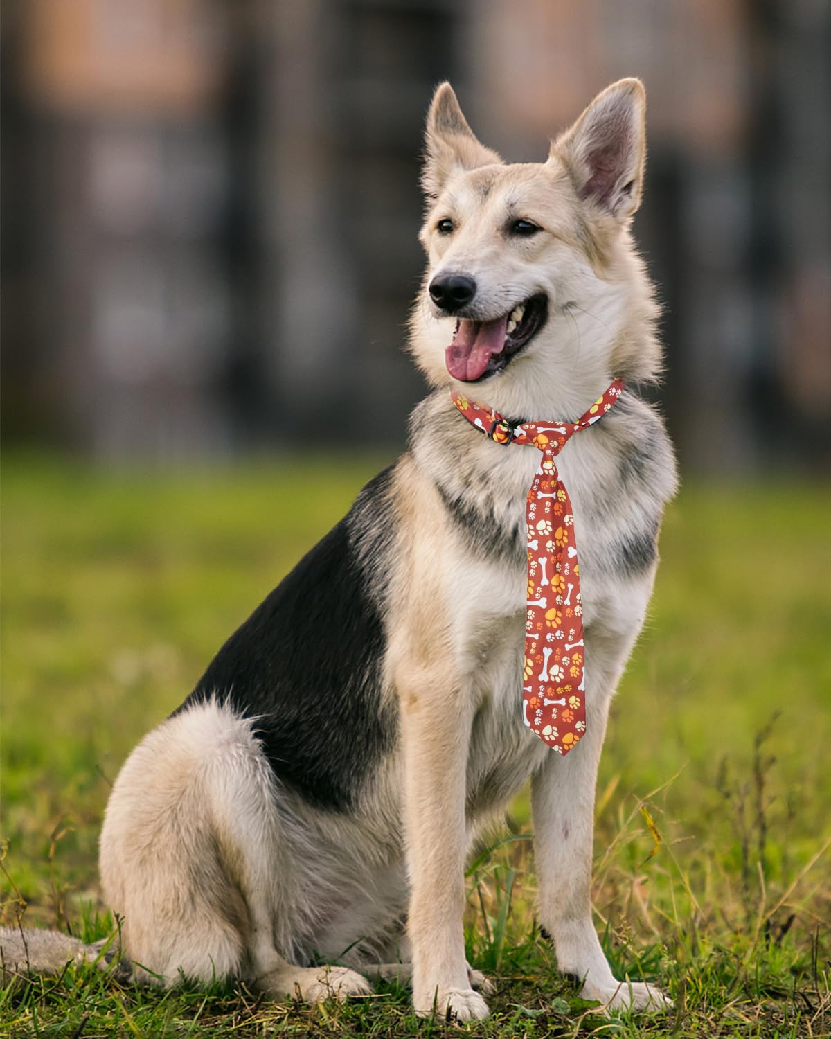 60 Pack Paw Print Dog Bowties and Ties V567506