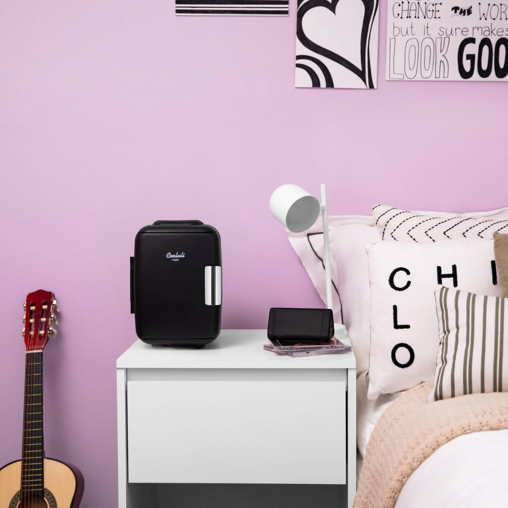 Portable 4L Mini Fridge Cooler & Warmer, Black J41905