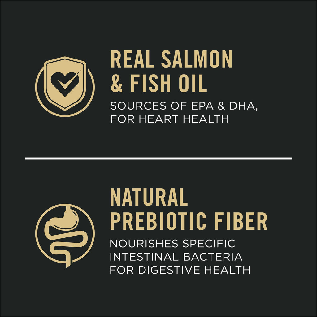 Salmon Dry Dog Food 16 lb Bag X677