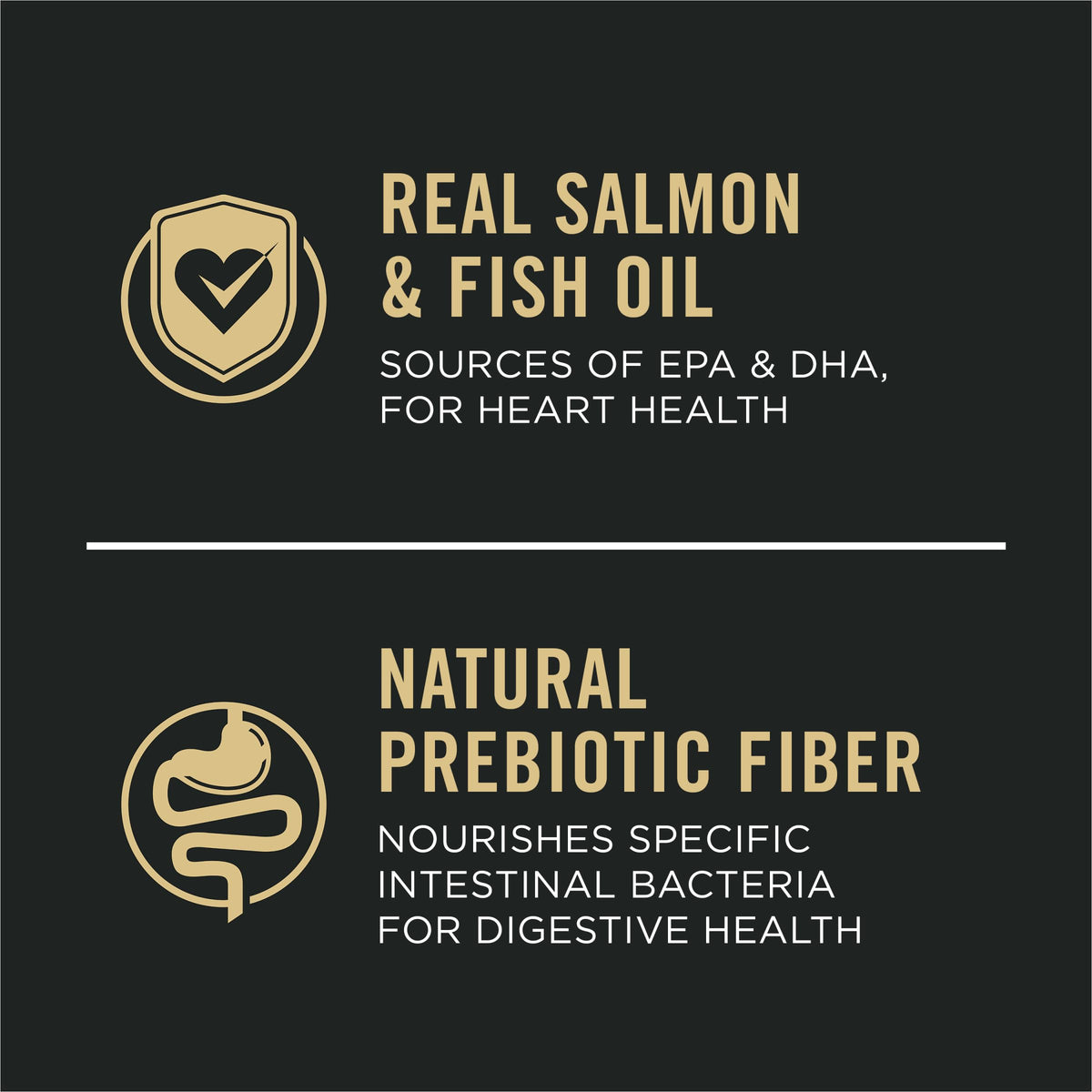 Salmon Dry Dog Food 16 lb Bag X677