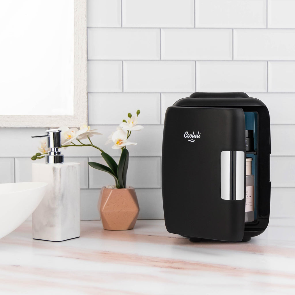 Portable 4L Mini Fridge Cooler & Warmer, Black J41905