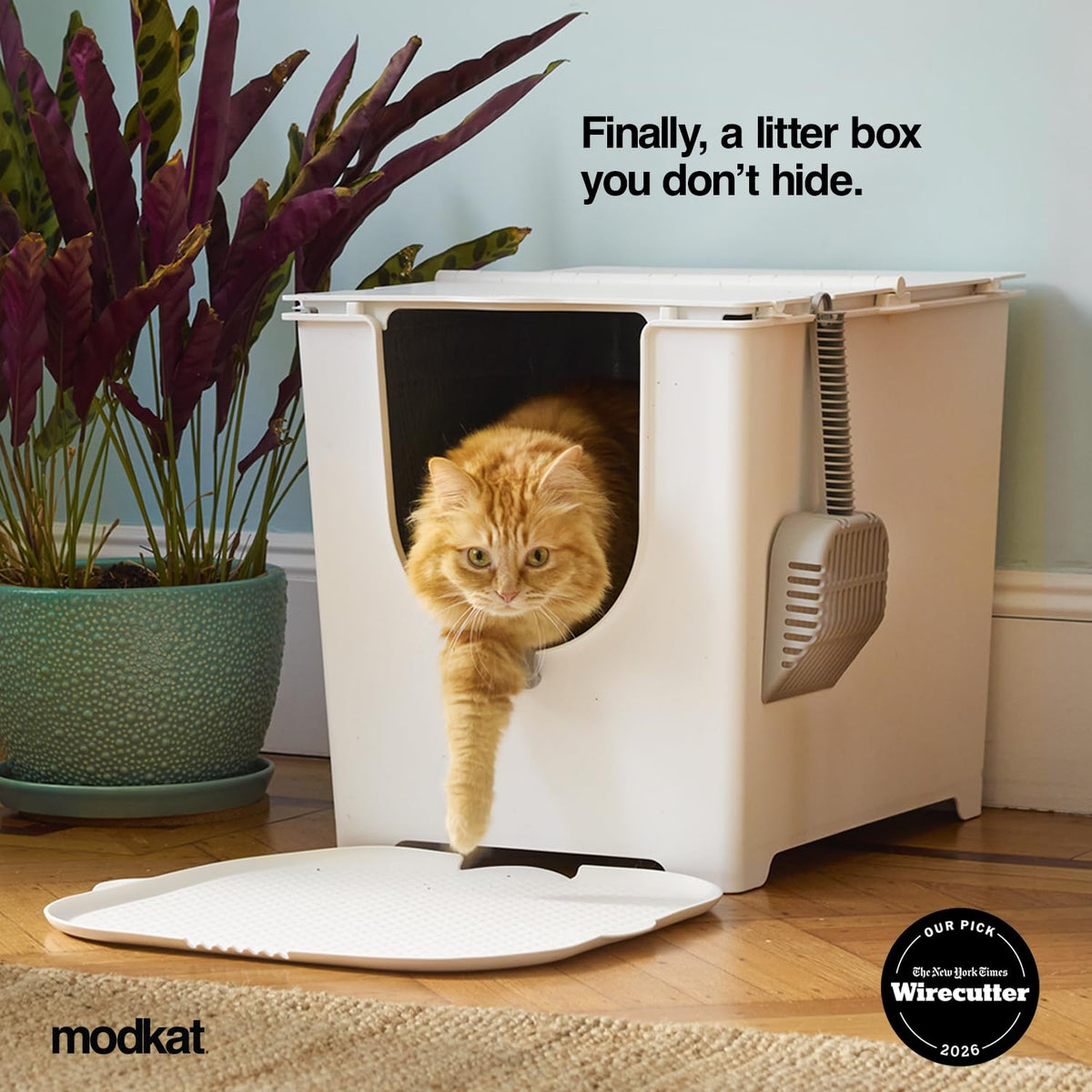 Covered Litter Box S501