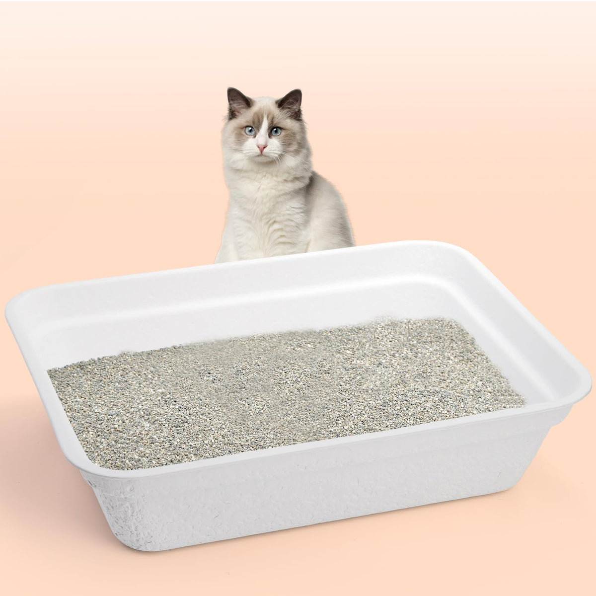 8 Pack White Cardboard Disposable Cat Litter Boxes K340576
