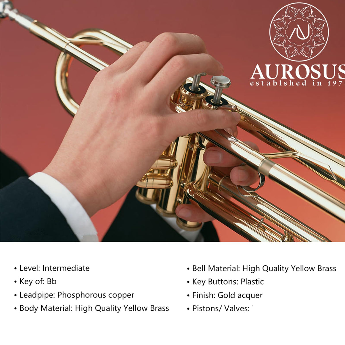 Beginner Student Trumpet with Rose Brass Leadpipe A772