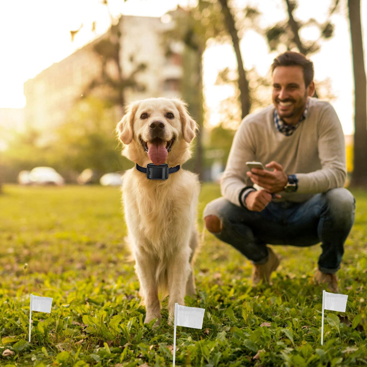 Electric Dog Fence System with 2 Collars Q877