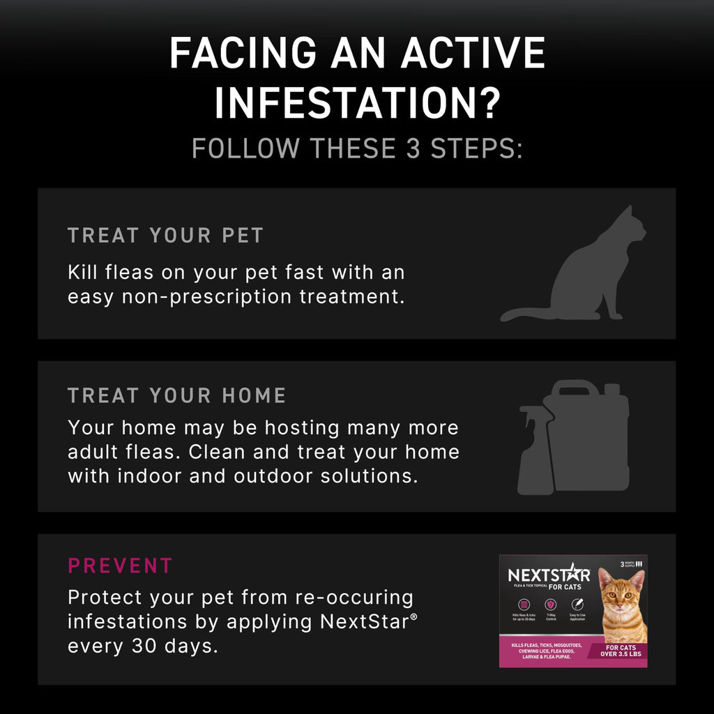 Flea & Tick Topical Cats 3-Month I436223