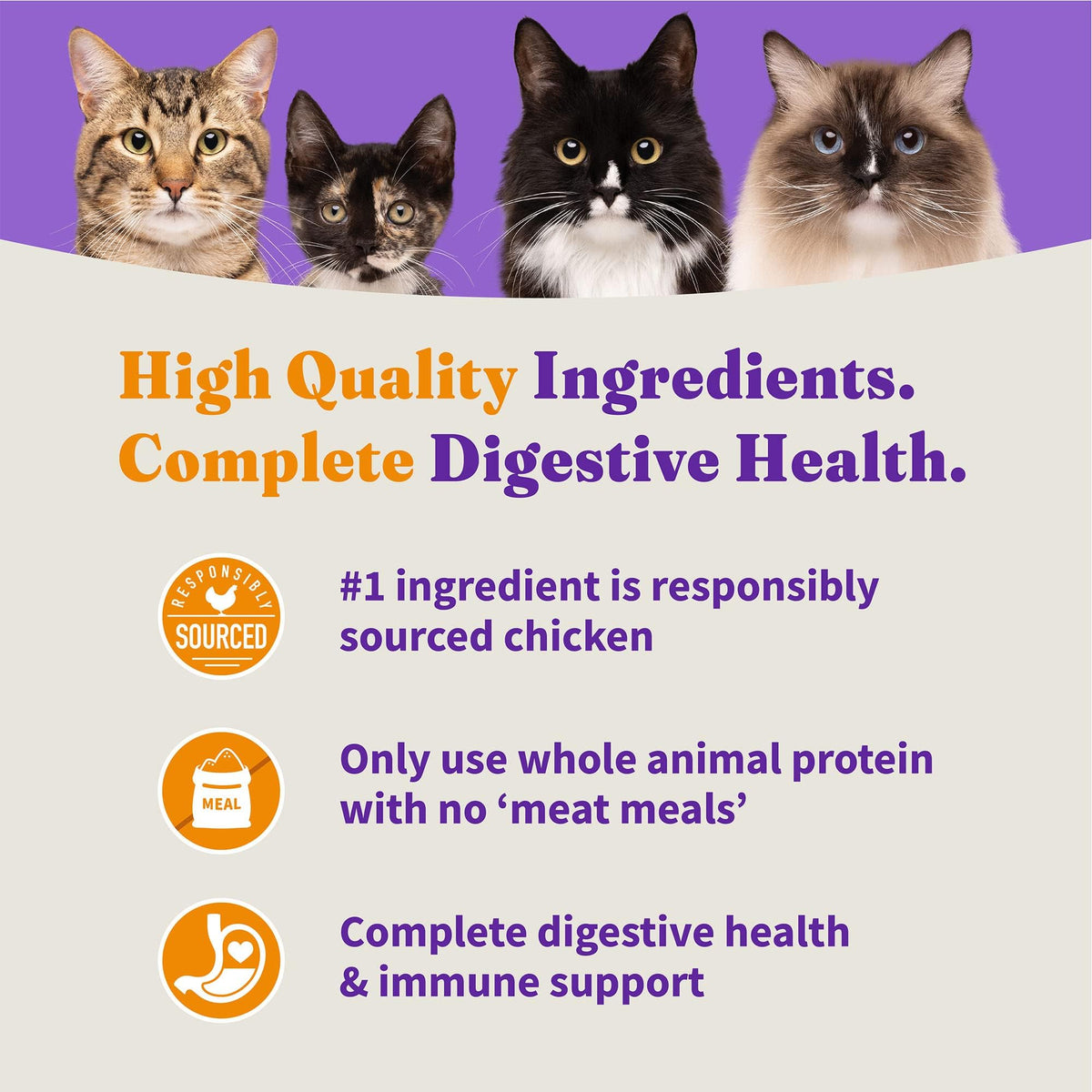 Indoor Dry Cat Food Cage-Free Chicken 3 lb H488