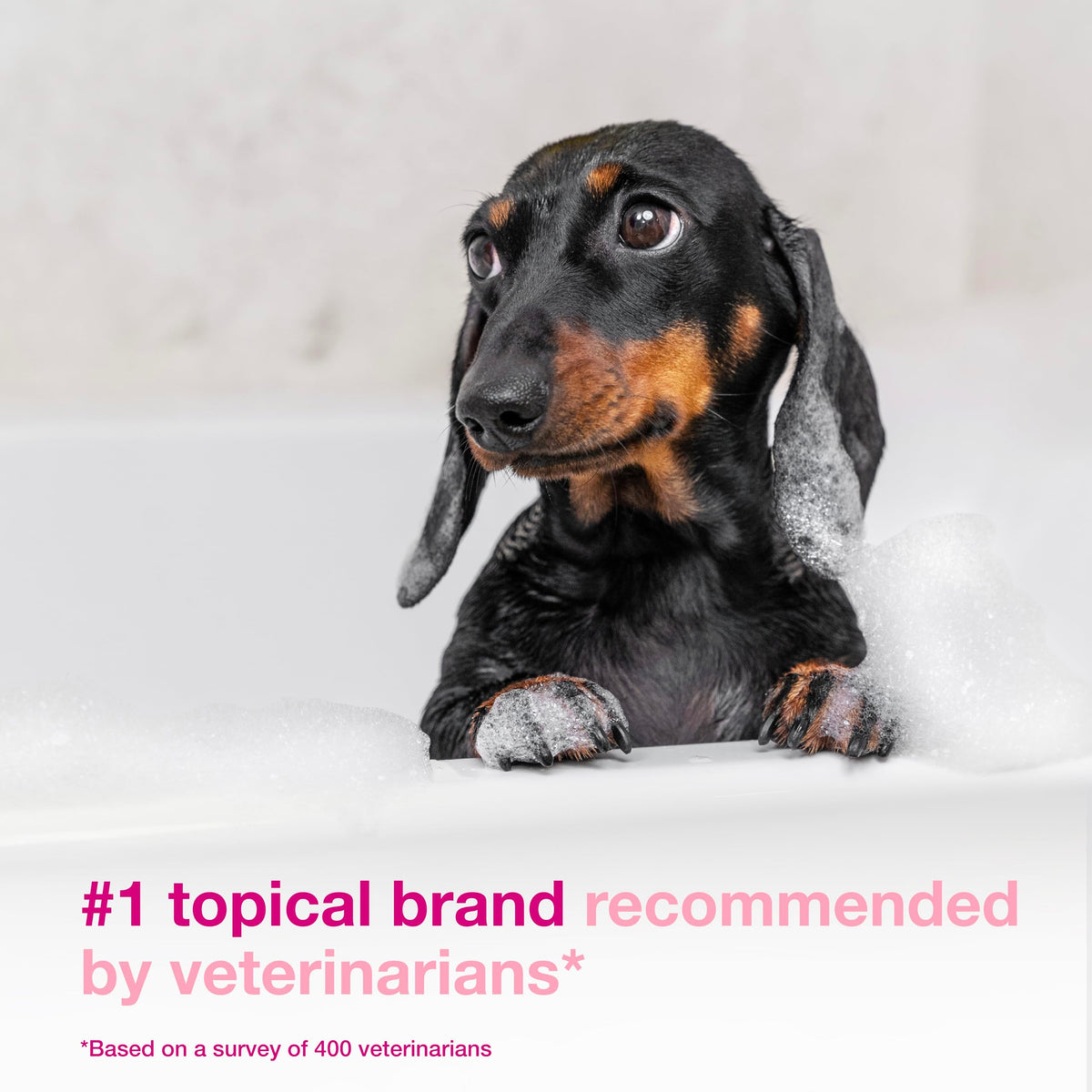 Dog Shampoo for Itchy Skin 6.7 fl oz F82109