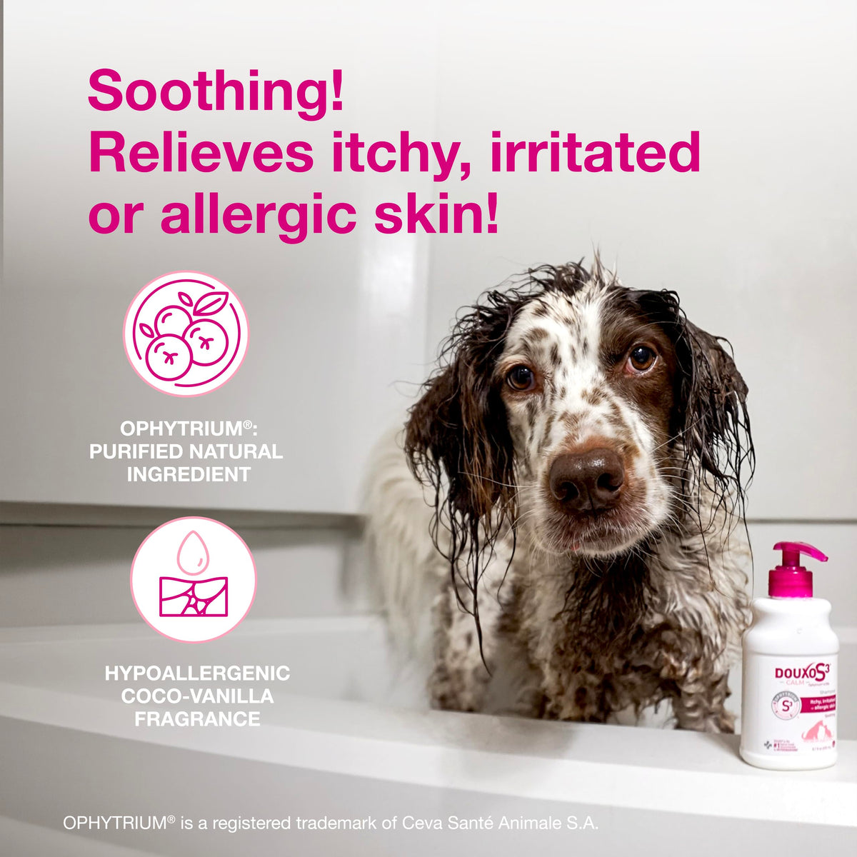 Dog Shampoo for Itchy Skin 6.7 fl oz F82109