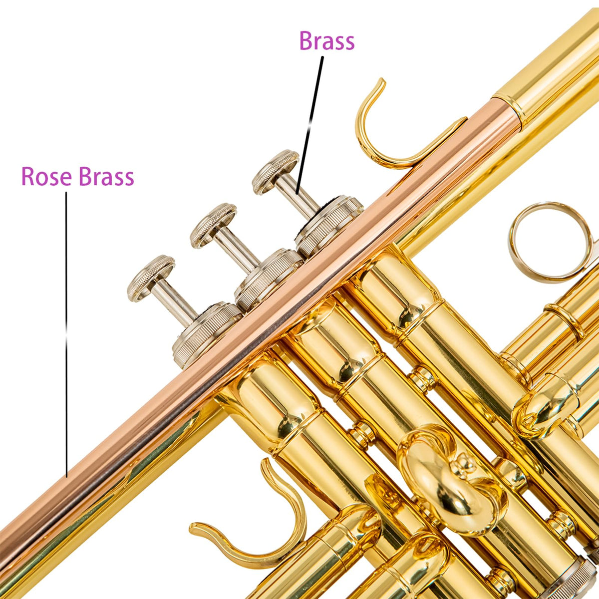 Beginner Student Trumpet with Rose Brass Leadpipe A772