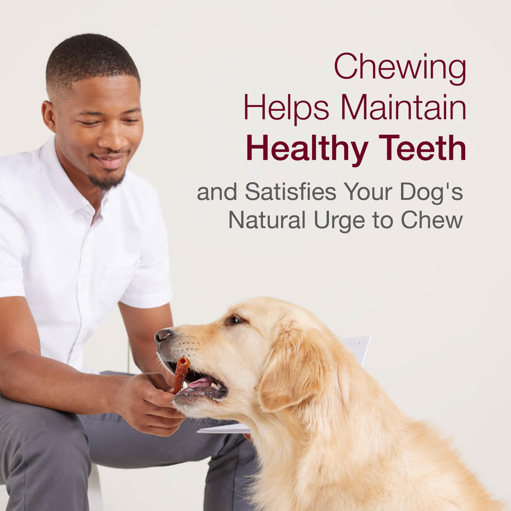 Medium Rawhide-Free Dog Treat with Peanut Butter, 4 Count Y1869