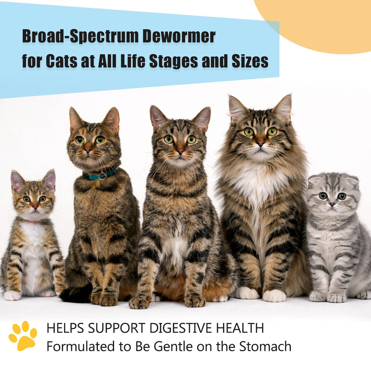 Dewormer for Cats and Kittens G72490