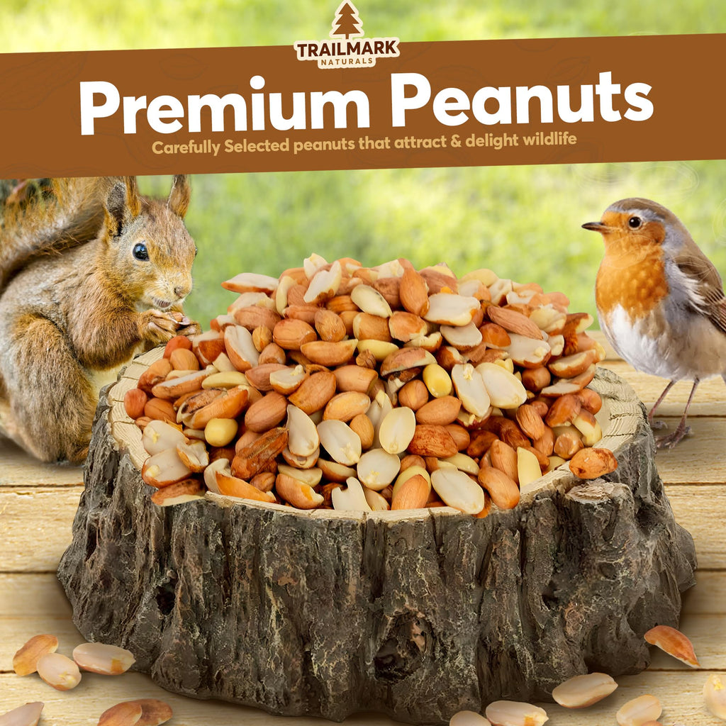 Raw Shelled Peanuts 25 LB P14218