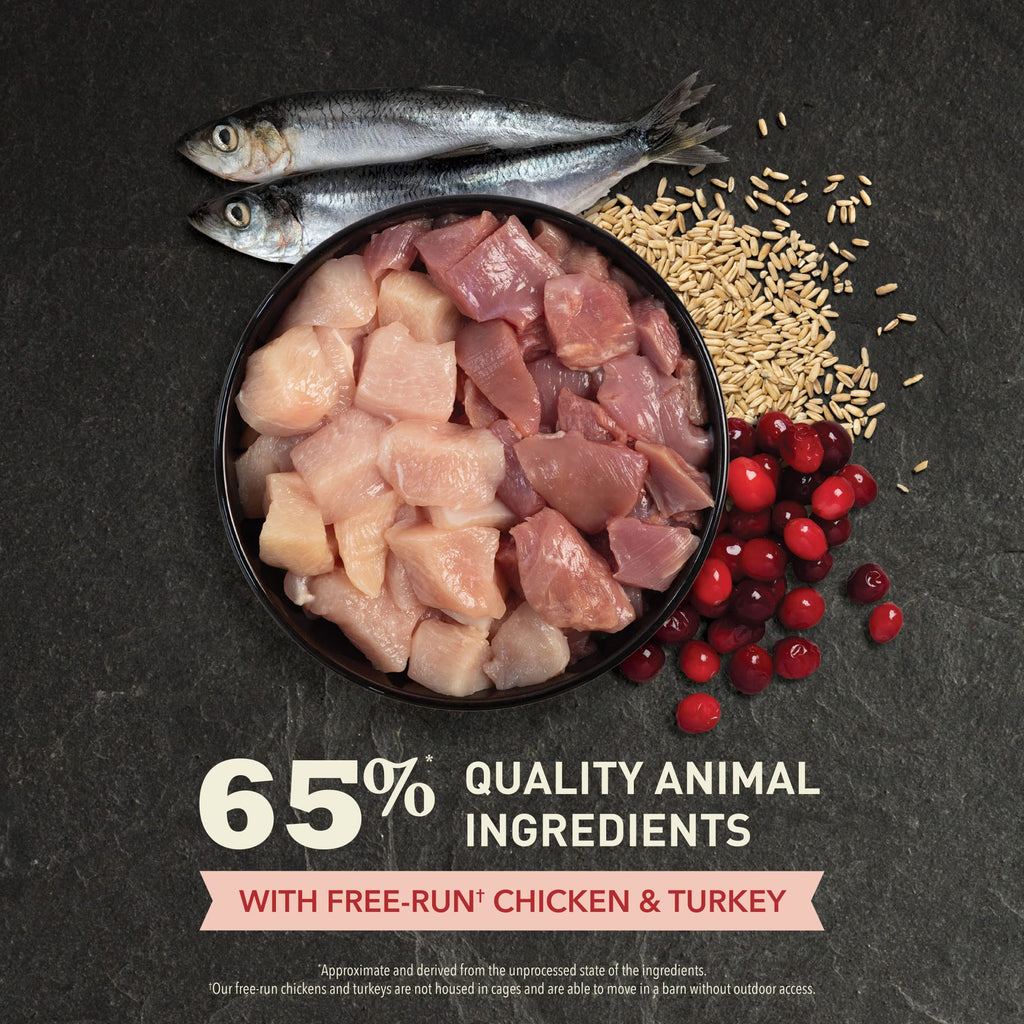 Dry Cat Food Chicken Turkey 4lb Bag F665