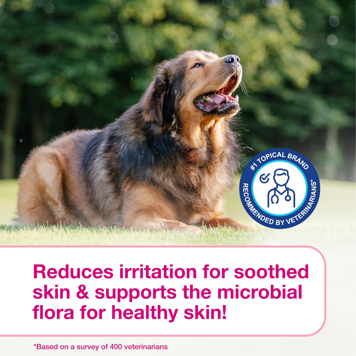 Dog Shampoo for Itchy Skin 6.7 fl oz F82109